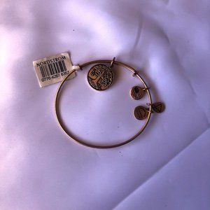 Alex and Ani Bronze Charm Bangle